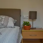 Standard One Bedroom Apartman *