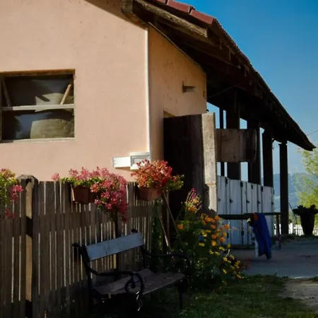 Standard One Bedroom