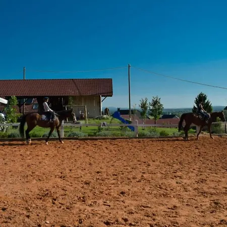 Апартаменты Standard One Bedroom *