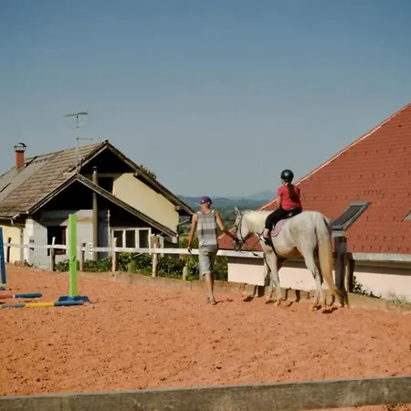 Standard One Bedroom Apartamento Brežice