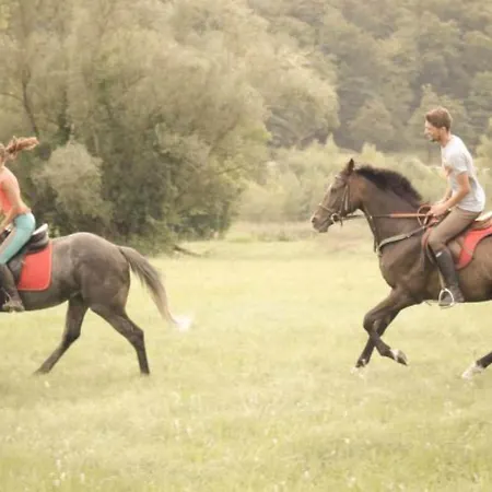 Apartamento Standard One Bedroom *