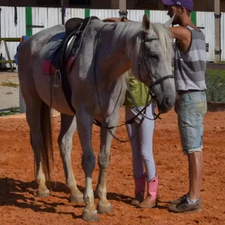 Standard One Bedroom