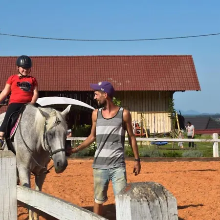 Standard One Bedroom *