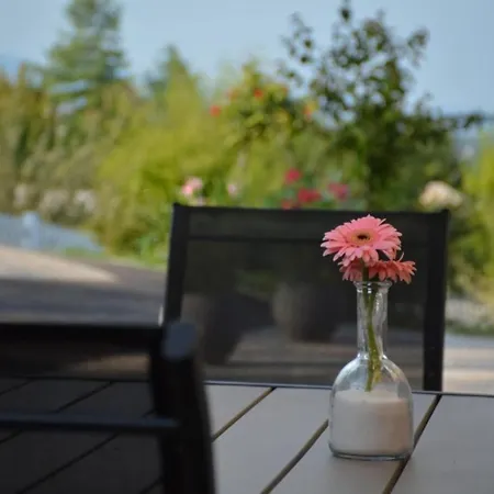 Standard One Bedroom *