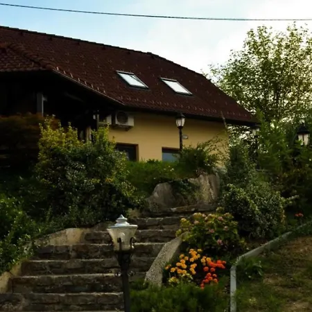 Standard One Bedroom Apartment Brezice