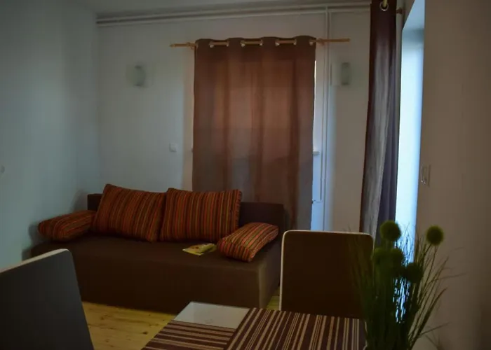 Standard One Bedroom Lägenhet Brežice