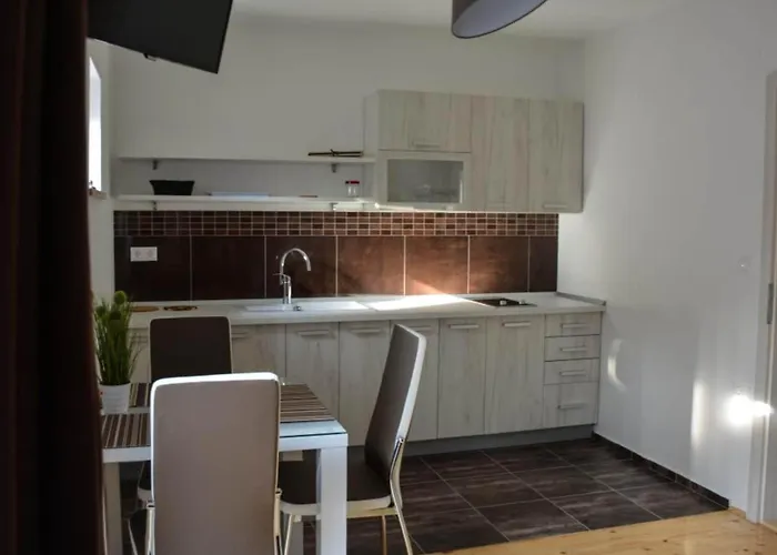 Standard One Bedroom Apartman Brežice