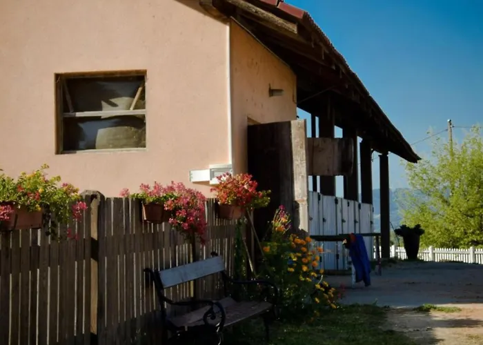 Standard One Bedroom