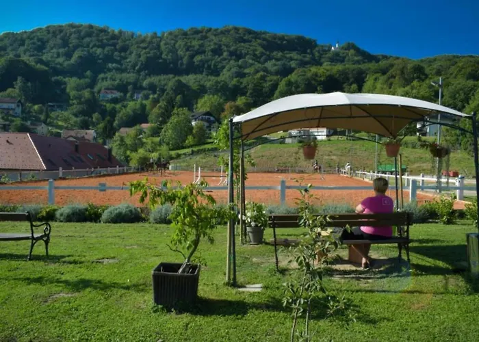 Standard One Bedroom Lägenhet