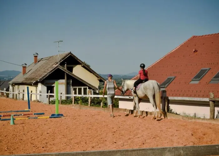Standard One Bedroom Lägenhet Brežice