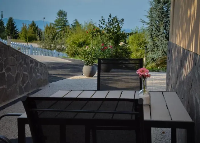 Apartman Standard One Bedroom Brežice