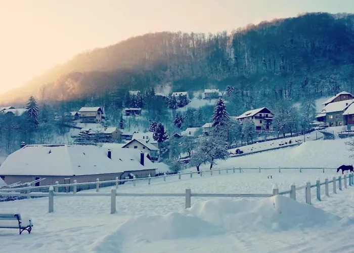 Apartman Standard One Bedroom Brežice