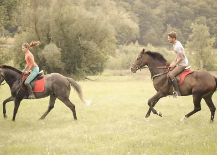 Lägenhet Standard One Bedroom *