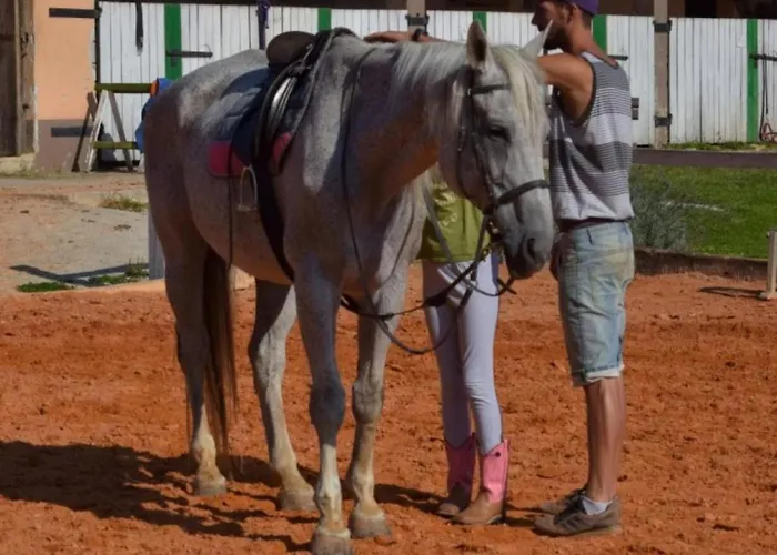 Standard One Bedroom