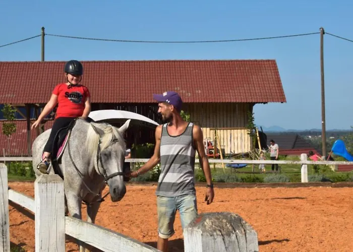 Standard One Bedroom *