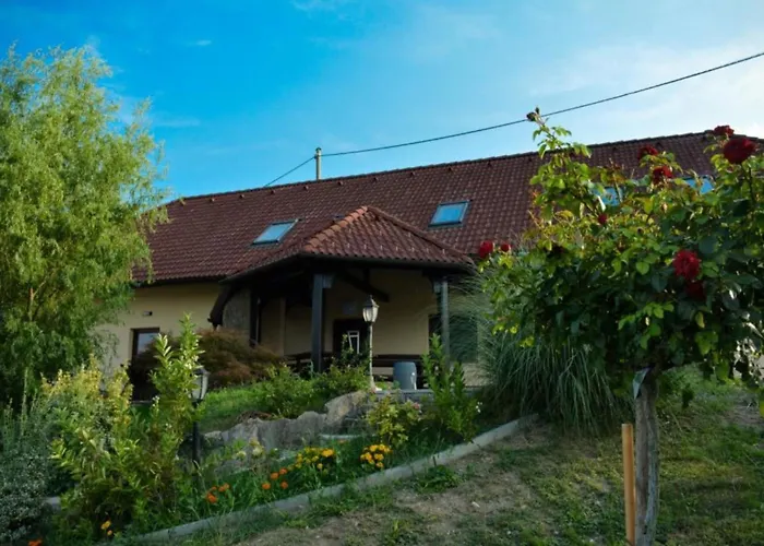 Standard One Bedroom Brežice