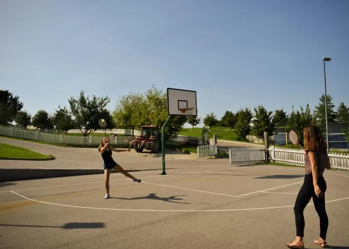 Standard One Bedroom Brežice